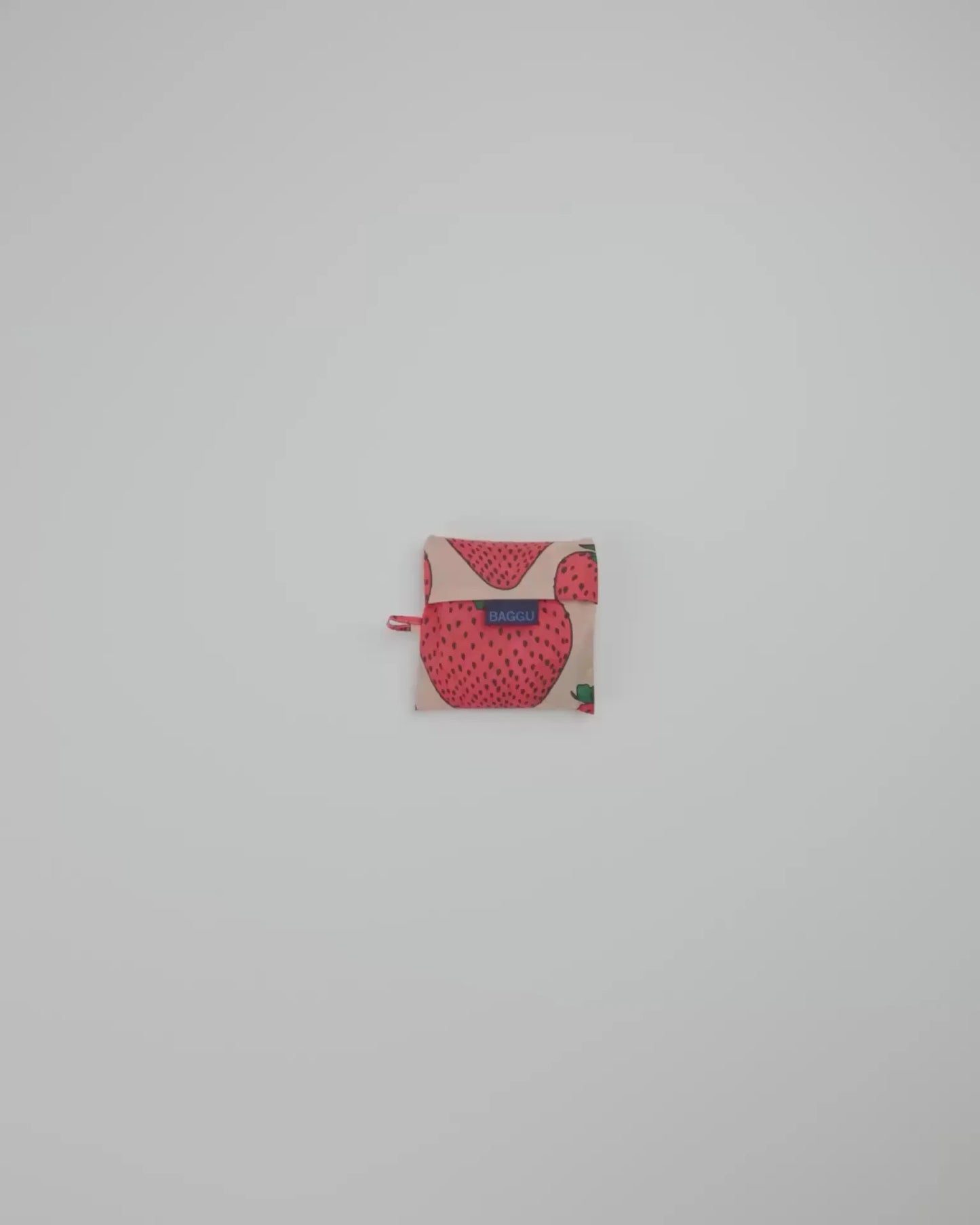 STANDARD BAGGU - US 5344